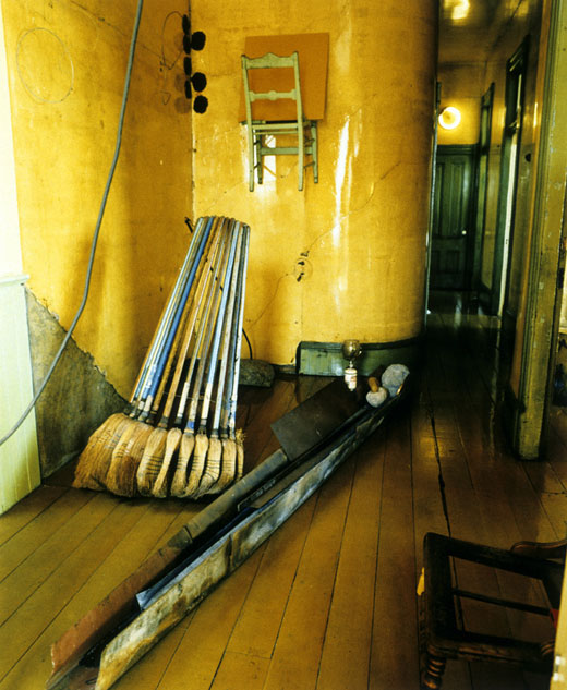 David Ireland Brooms